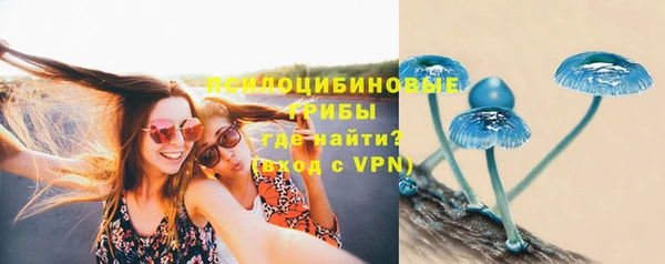 дурь Армянск