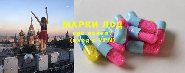 гашик Аркадак