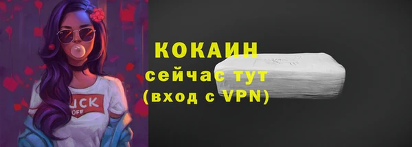 гашик Аркадак