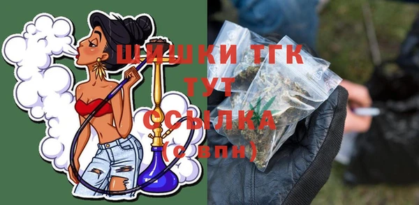 гашик Аркадак
