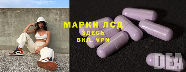 гашик Аркадак